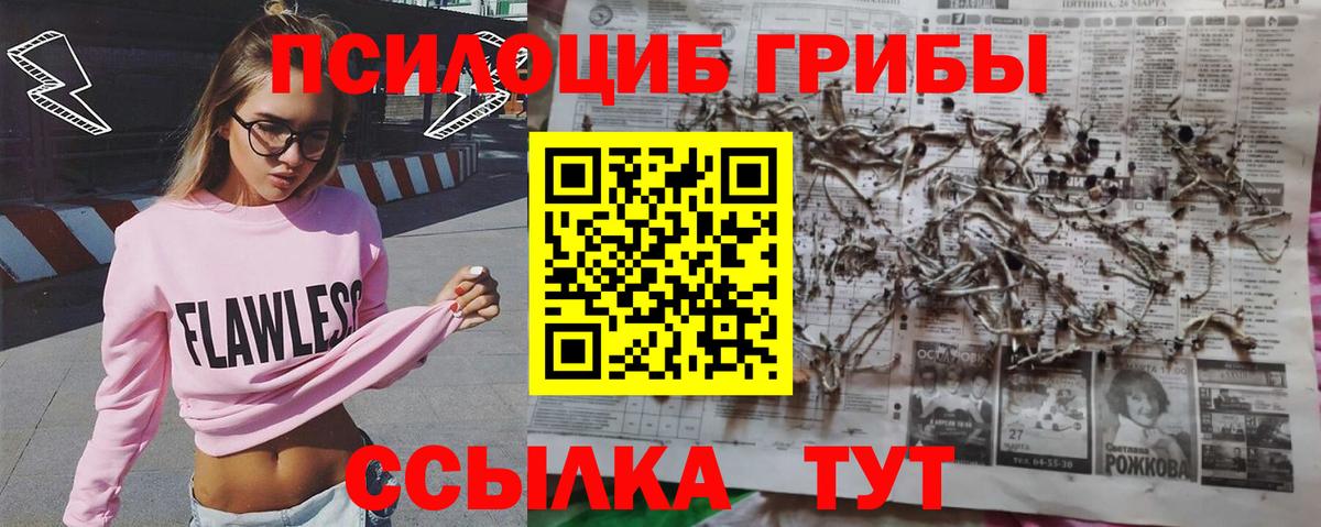 Котлас  Псилоцибиновые грибы ЛСД  Вход с VPN 