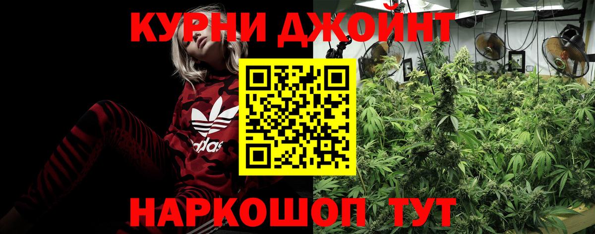 Конопля ГИДРОПОН  Бошки марихуана Amnesia  Котлас  Канабис White Widow  Вход с VPN 